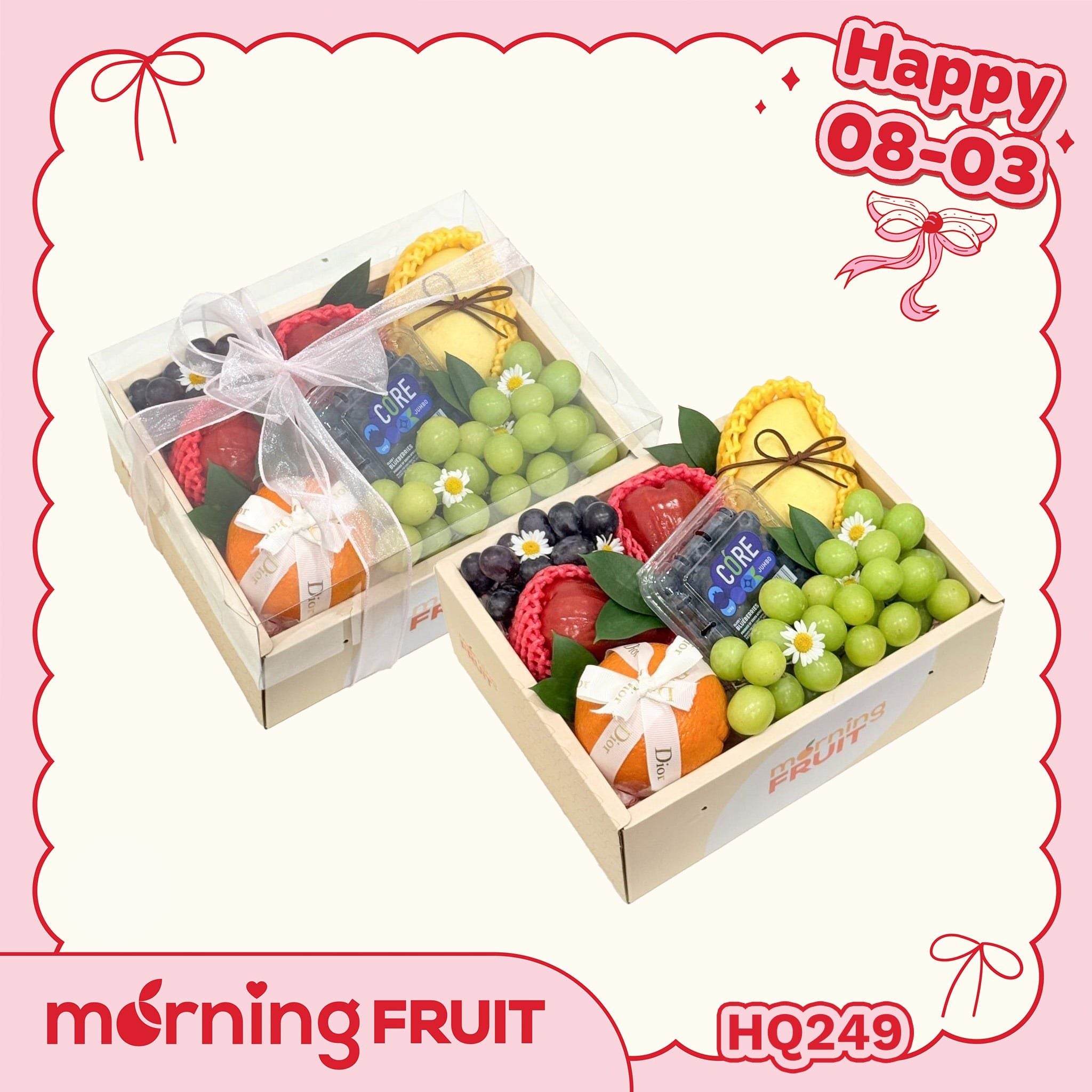 Hộp quà trái cây HQ249