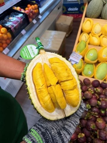 Chuối Laba Đà Lạt